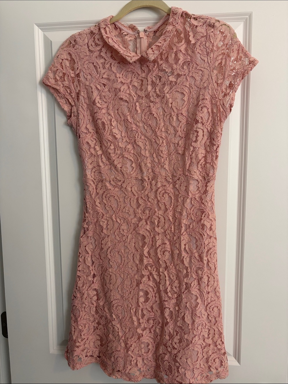 Lace Fit-and-Flare Dress in Blush Pink - Women